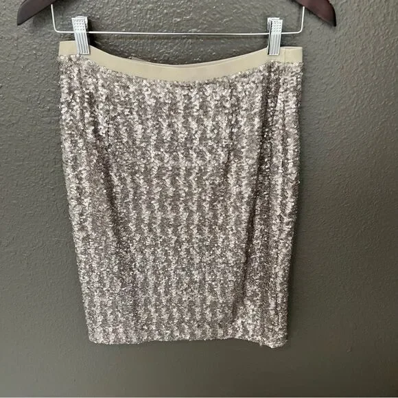NWT J. Jill Sequins Pencil Sterling Women’s Skirt | Size XS - Picture 5 of 10